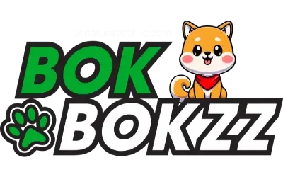 BokBokzz-logo